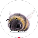 Marika T profile picture